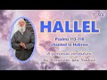 HALLEL: A personal rendition