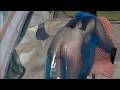 Urfi Javed Hot Actress Viral Video Urfijaved Urfijaved Selfimprovement