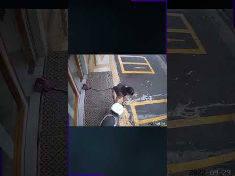 찰나의 순간 속 천운..