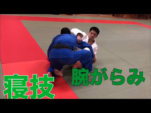【寝技研究会】腕がらみ対処編