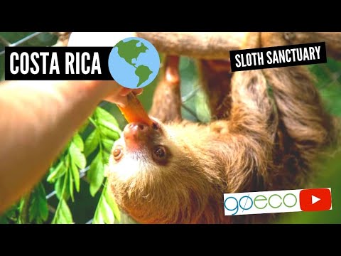 Costa Rica - Animal Rescue and Conservation