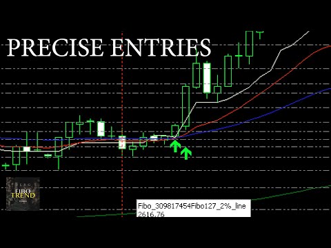 Video BERG Fibo Trend Trader