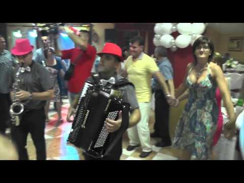 Orkestar Joce Porodinca - Splet kola i Vlaskih pesama, EXTRA, Zal, 50.Rodjendan, Svilajinac.mp4