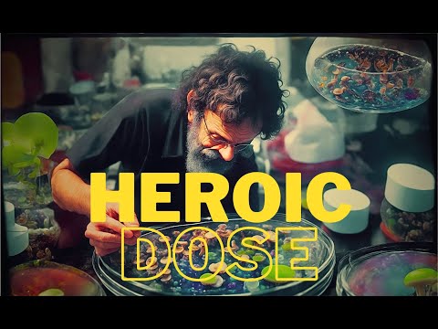 Terence McKenna and the Heroic Dose
