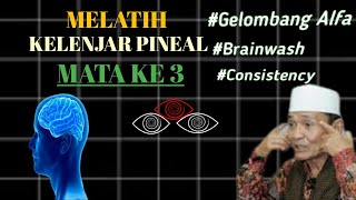 Download lagu Melatih kelenjar pineal(mata ketiga) | KH Buya Syakur Yasin MA mp3