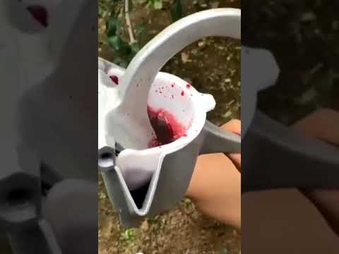 🍏🍎🍉🍓🍇🍒what is this:please comment box#shorts #fruits# viral