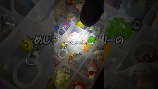 めじるしアクセサリーのガチャガチャが販売中止になること多すぎじゃね？ #ガチャガチャ #カプセルトイ #めじるしアクセサリー