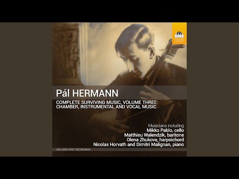 Somebody's Wrong (Arr. for Violin & Cello by Pál Hermann)