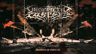 UNDER FETID CORPSES - Archives Of Carnage 2015