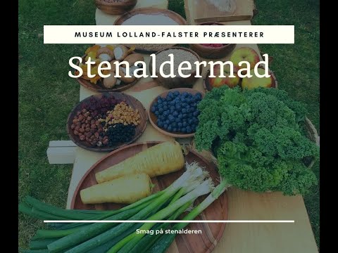 Smag på stenalderen: Stenaldermad