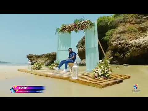 Harmonize - Nisamehe( Official Live Performance Video)