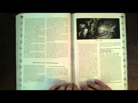 Durchgeblättert - Quanionsqueste (2/2)