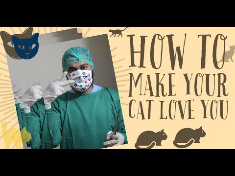 How to make your Cat Love you ?in Urdu /Hindi | Make your Bond strong with your Cat