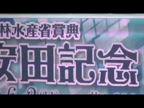 これが第69回安田記念だ!!!!　レース篇　競馬は甘くないし簡単じゃないんだ!!!　アーモンドアイ怒涛の追い込みも⁉　ダノンプレミアム故障発生リアルライブup!!!　2019.6.2　東京競馬場