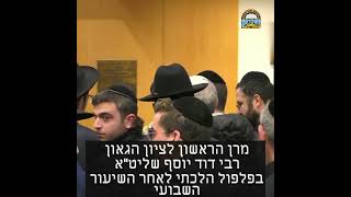 מרן הראשון לציון הגאון רבי דוד יוסף שליט"א בפלפול הלכתי לאחר השיעורהשבועי#השיעור_השבועי#הרב_דוד_יוסף (מוסדות יחווה דעת) - התמונה מוצגת ישירות מתוך אתר האינטרנט יוטיוב. זכויות היוצרים בתמונה שייכות ליוצרה. קישור קרדיט למקור התוכן נמצא בתוך דף הסרטון