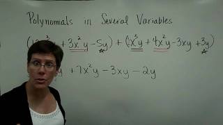 Introductory Algebra - Polynomials in Several Variables