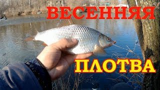 Ловля крупной плотвы в мае на поплавочную удочку