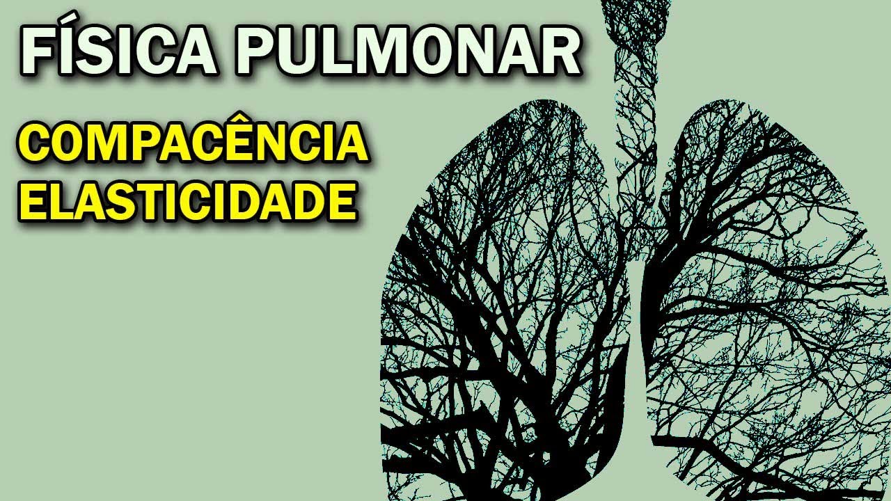 As propriedades físicas do pulmão que permitem a inspiração e expiração - COMPLACÊNCIA  ELASTICIDADE