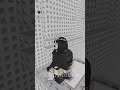 Roblox Fall Trend Roblox Robloxedit