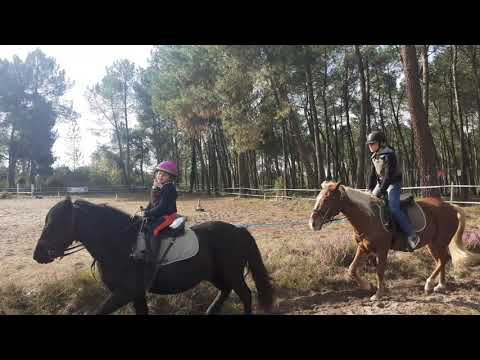 19/10/20 travail du trot pour les jeunes cavaliers
