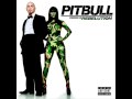 Pitbull : Triumph Feat Avery Storm  (Rebelution)