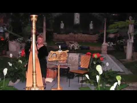 Night Rhythm - Harp and Flute - Take Five (Dave Brubeck)