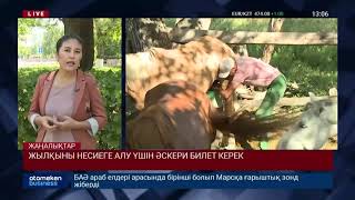 ЖЫЛҚЫНЫ НЕСИЕГЕ АЛУ ҮШІН ӘСКЕРИ БИЛЕТ КЕРЕК