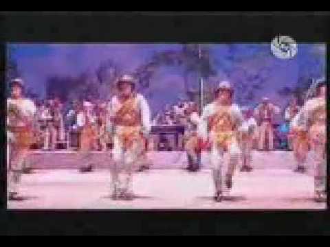 Theo Schwarz - Leilei Laa ( Calusarii Shuffle )