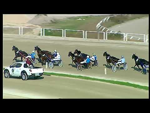 Trotto 27/11/2020 - 1ª corsa