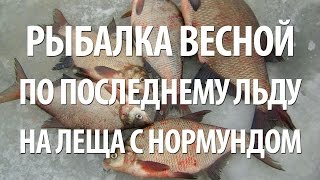 Ловля леща в марте со льда прикормка