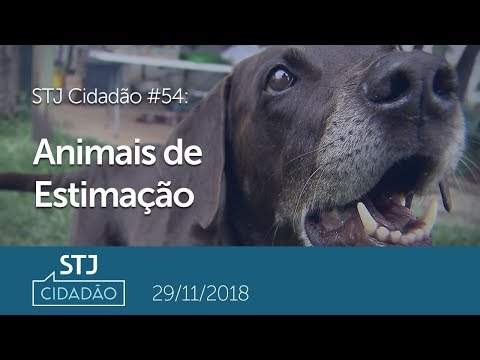 STJ Cidadão # 52 - Animais de estimação (29/11/2018)