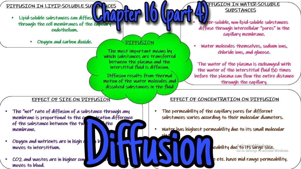 Diffusion. Chapter 16 (part 4). Guyton and Hall Physiology.