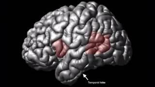 Charlie Rose Brain Series Episode 06: The Aging Brain