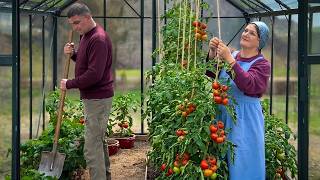 Living In Mountains: Greenhouse And Strawberry Cooking