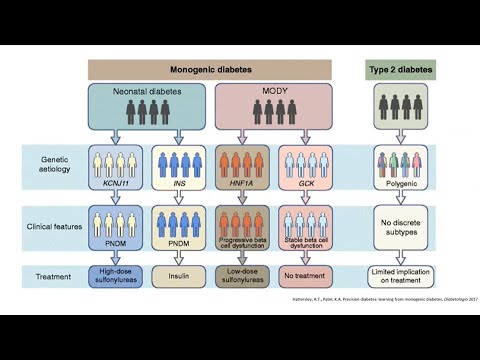 Maybe it's MODY? An Introduction to Monogenic Diabetes (Webinar 2023)