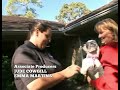 Animal Cops Houston Ending Credits 9x05 High Tone