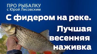 Какая рыба клюет на ручейника
