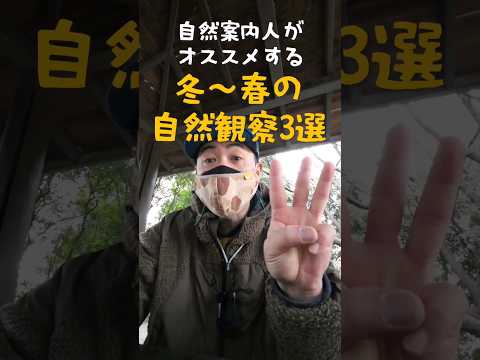 冬の鳥たち: 寒波をこうして生き抜く 自然と動物