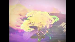 vulnerable Music Video