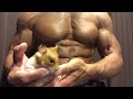 モフモフとムキムキのゴールデンハムスターとしゃっくり