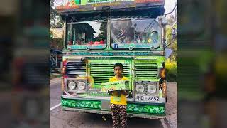 Lanka Ashok leyland buses (asrar in damrejinisuran