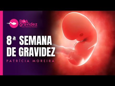 8 WEEKS PREGNANT - Pregnancy Week by Week