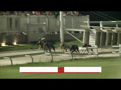 2023.08.18. 7. Futam - Kategória VII. futam - AA0