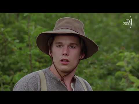 Zanna Bianca, Un Piccolo Grande Lupo [Jack viene salvato da Zanna Bianca]