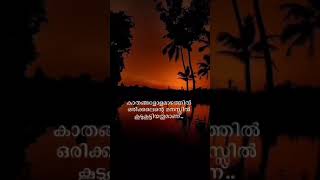 malayalam quotes | status videos | malayalam writer | kavitha premi