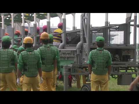 2011年安田記念　リアルインパクト