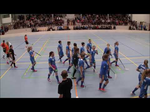 Blue Fox - O2-Jyväskylä - Maalikooste - 3.11.2018