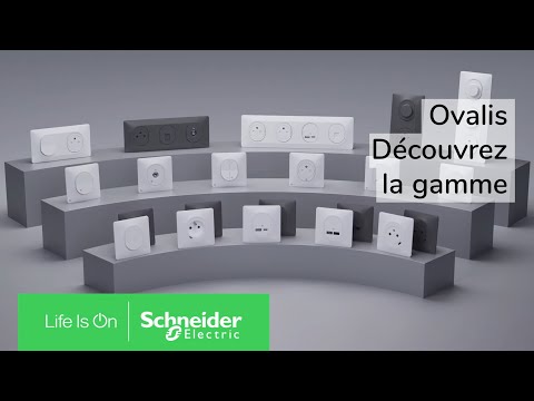 Interrupteur Double Va-et-vient Schneider OVALIS S260214 - Complet Avec Plaque - Neuf Pour électricité Maison