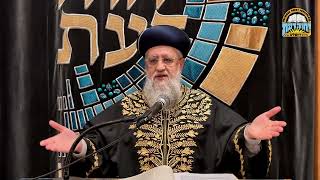 השיעור השבועי של מרן הראשון לציון רבי דוד יוסף שליט"א I דיני מצות מצוה בערב פסח שחל בשבת
