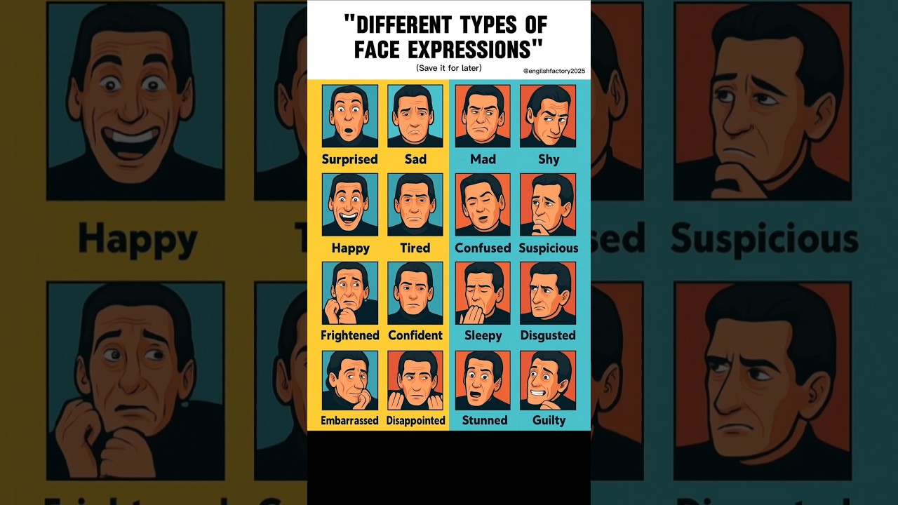 Different types of face expressions in english #englishlearning #education #vocabulary #shorts